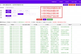 打造利于SEO优化的网站，提高网络曝光度