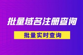 批量域名注册信息实时查询教程