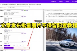 文章发布批量图片不保留配置教程