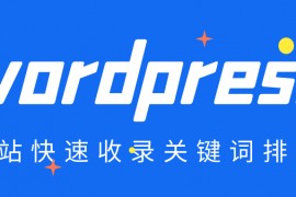 wordpress优化-wordpress优化速度-wordpress网站优化