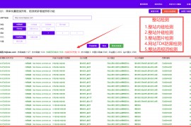 网站分析-免费网站分析工具
