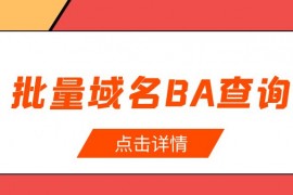 批量备案域名查询教程