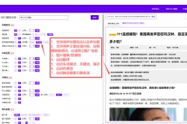 SEO技术软件