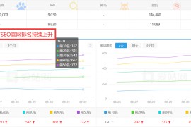 SEO排名推广价位如何以最优成本获取最大流量