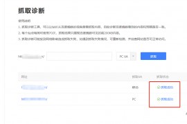 如何看网站有没有蜘蛛爬