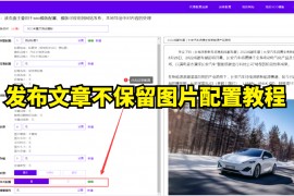 发布文章不保留图片配置教程