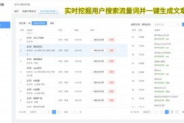 SEO关键词首页排名