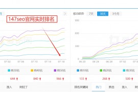 什么叫SEO网站推广？