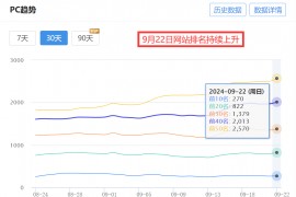 亚马逊卖家SEO是什么？深度解析提升排名的秘密