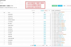 全网流量关键词实时挖掘：让你占领更多流量
