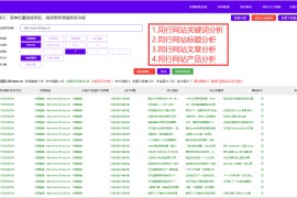 新手怎么入行seo-做seo需要哪些知识