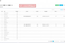 域名备案批量查询工具-批量查询域名