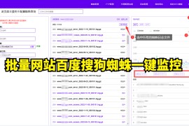批量网站百度搜狗蜘蛛日志一键分析教程