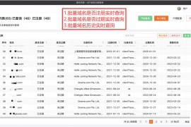 网站批量查询-批量公司域名查询软件