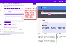如何按时规律更新网站内容_147SEO