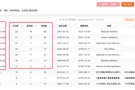怎么查网站域名（批量网站域名查询）