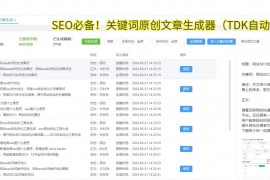 seo站内优化方法（seo站长优化）