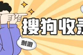 搜狗提交软件之搜狗泛解析推送