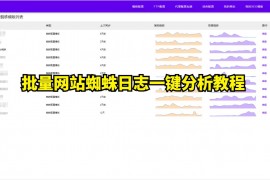 批量网站蜘蛛日志一键分析教程